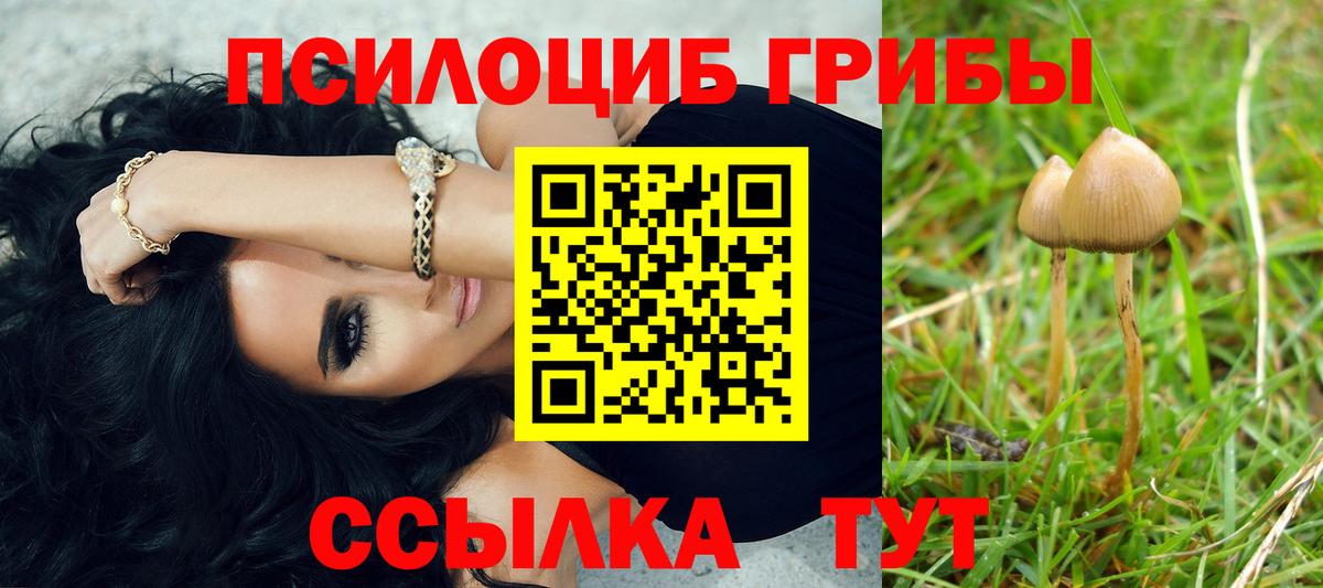 Псилоцибиновые грибы прущие грибы Изобильный