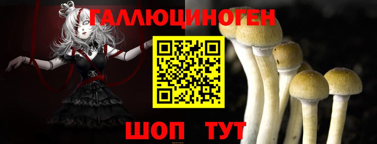 Галлюциногенные грибы Cubensis  Вход с VPN  Изобильный 